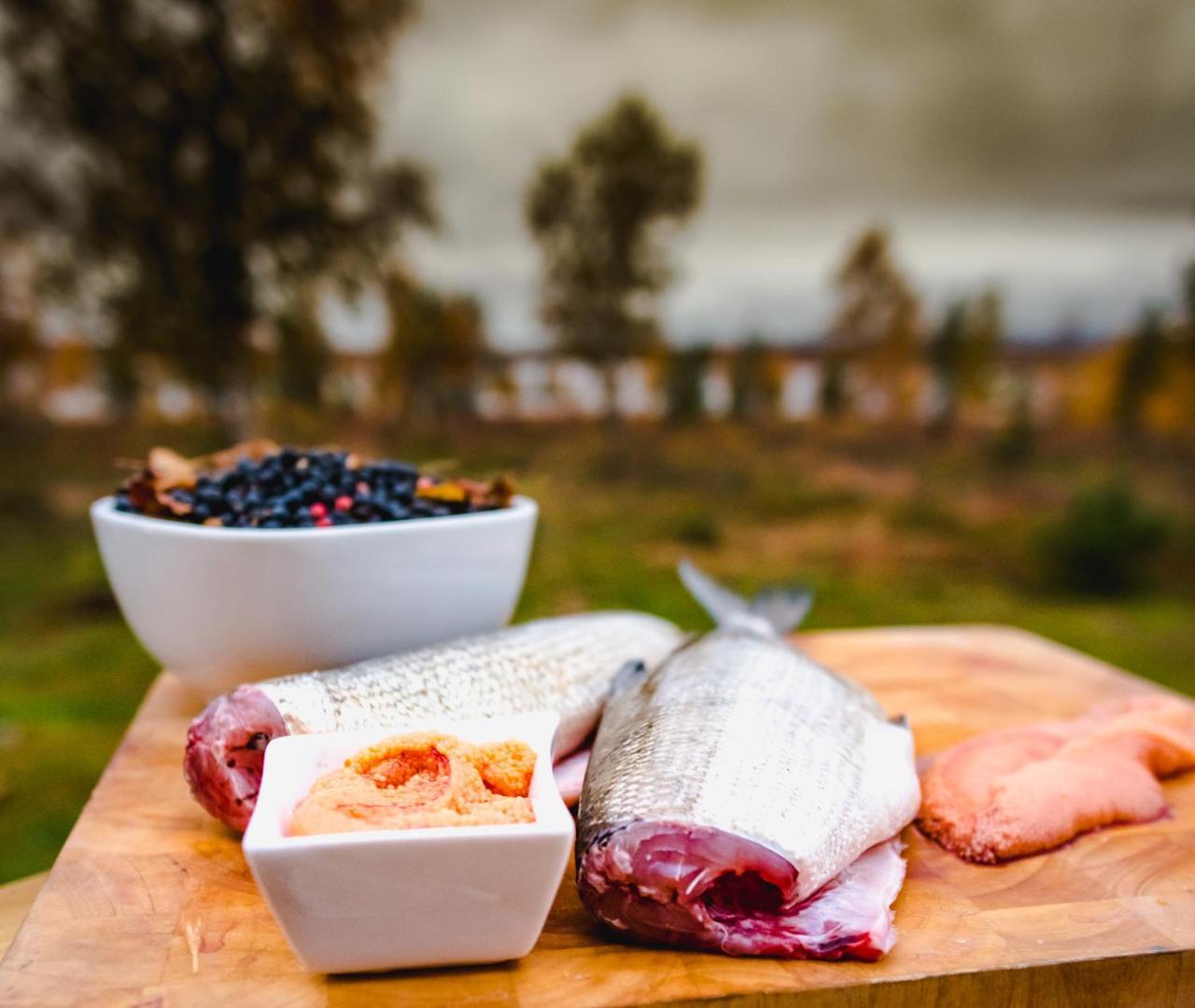 Arctic Gourmet Cabin Kiruna Ngoại thất bức ảnh